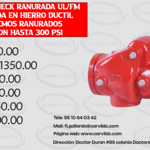 VÁLVULA CHECK RANURADA UL/FM